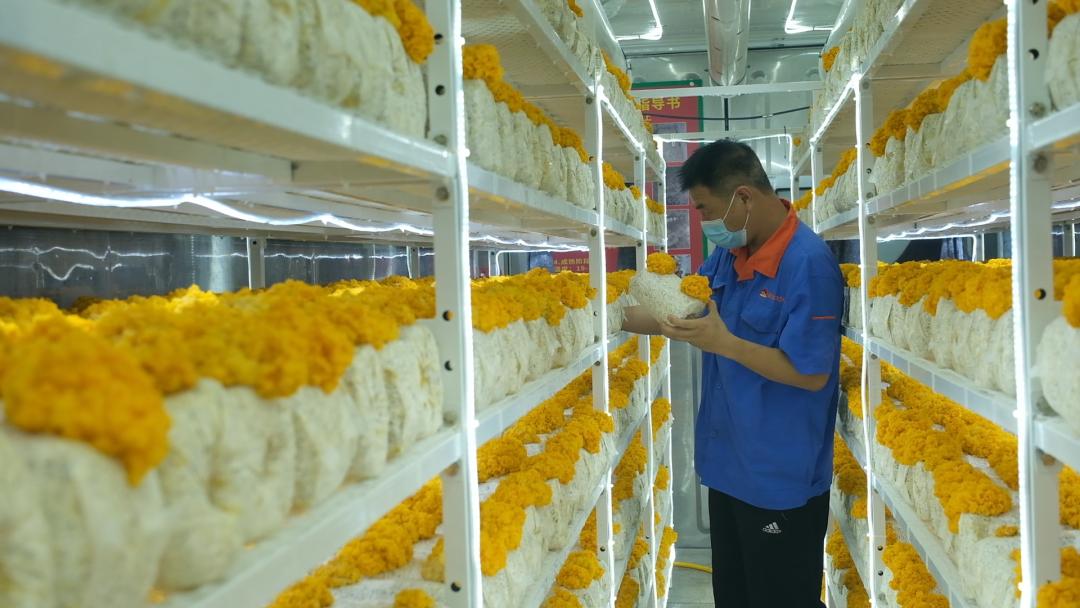 ɽ|fS𡱮a(chn)I(y)ġƼ(wn)a(chn)